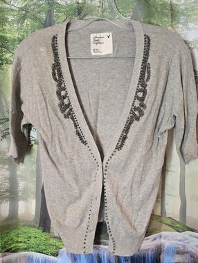 American Eagle Outfitters Light Gray Embellished V-Neck Sweater